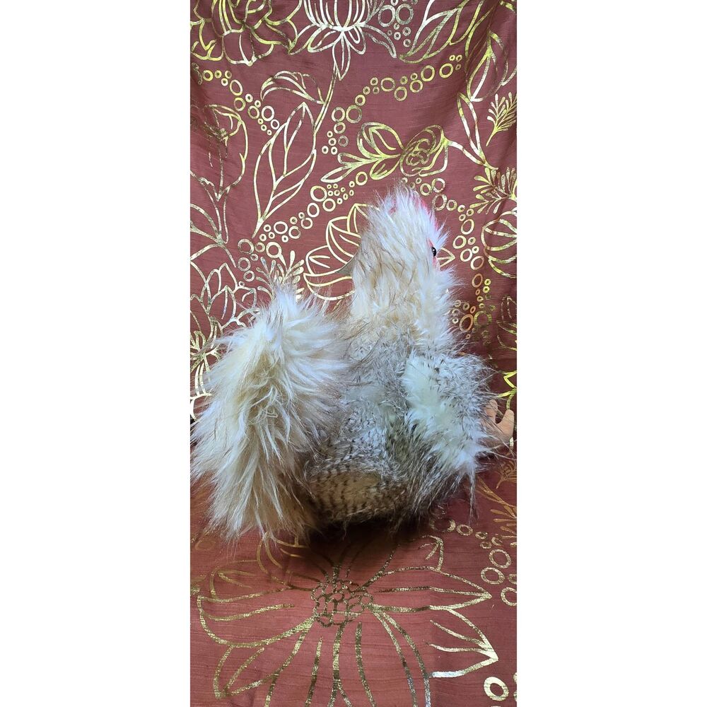 Red Shed Realistic Rooster Chicken Plush stuffed animal toy - Picture 4 of 7